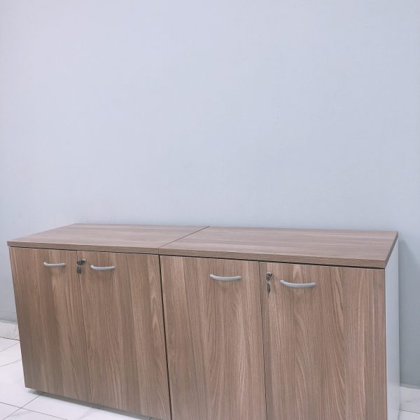 CREDENZA EJECUTIVA DE 2 PUERTAS MODELO PRAKTICA